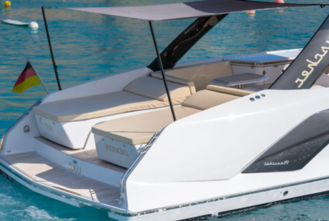 SEA RAY 290 SDX - GOYA